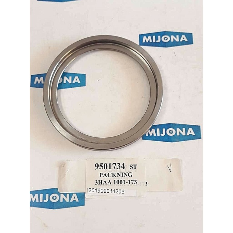 ABB 3HAA 1001 173 SEALING RING SIEGELRING (New old stock)
