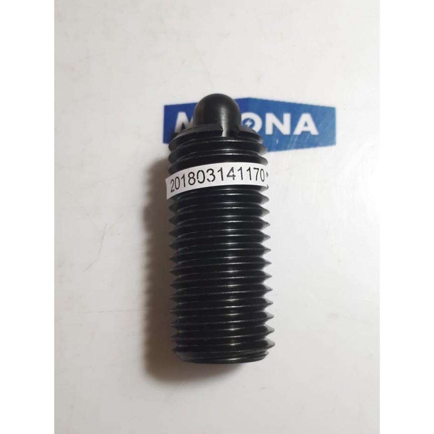 Elesa Spring plungers GN616 M24 SS (new old stock)