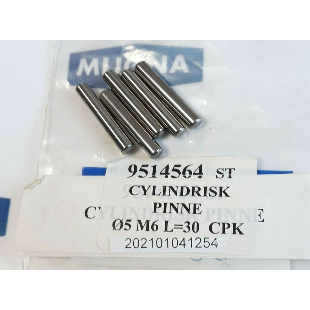BIMEX Ø5 M6 L=30 CPK Cylindrical stick Zylindrischer Stab price for 5 psc. BIMEX Ø5 M6 L=30 CPK Cylindrical stick Zylindrischer Stab price for 5 psc.