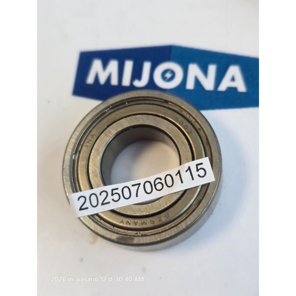 INA 6003 BEARING