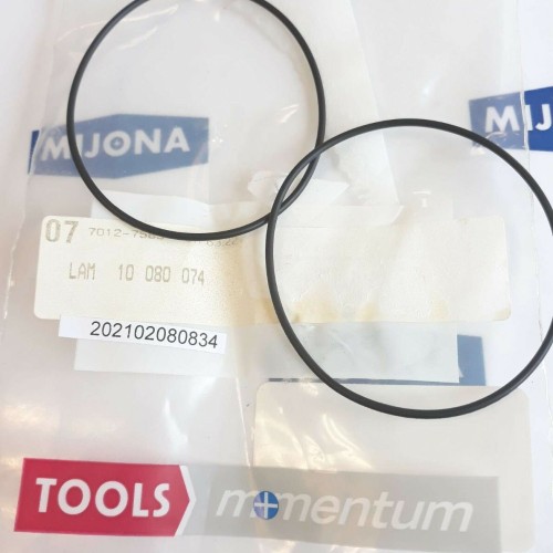 MOMENTUM INDUSTRIAL O RING LAM 10 080 074 J2FENV604 PRICE FOR 2PSC new old stock