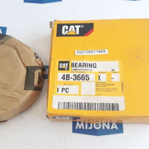 CAT 4B 3665 bearing ACF new old stock)