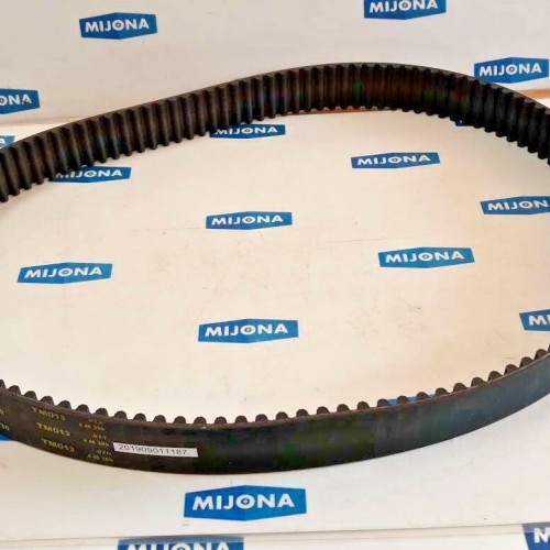 PowerPaint belt Gürtel 1000 8M 30 TM013