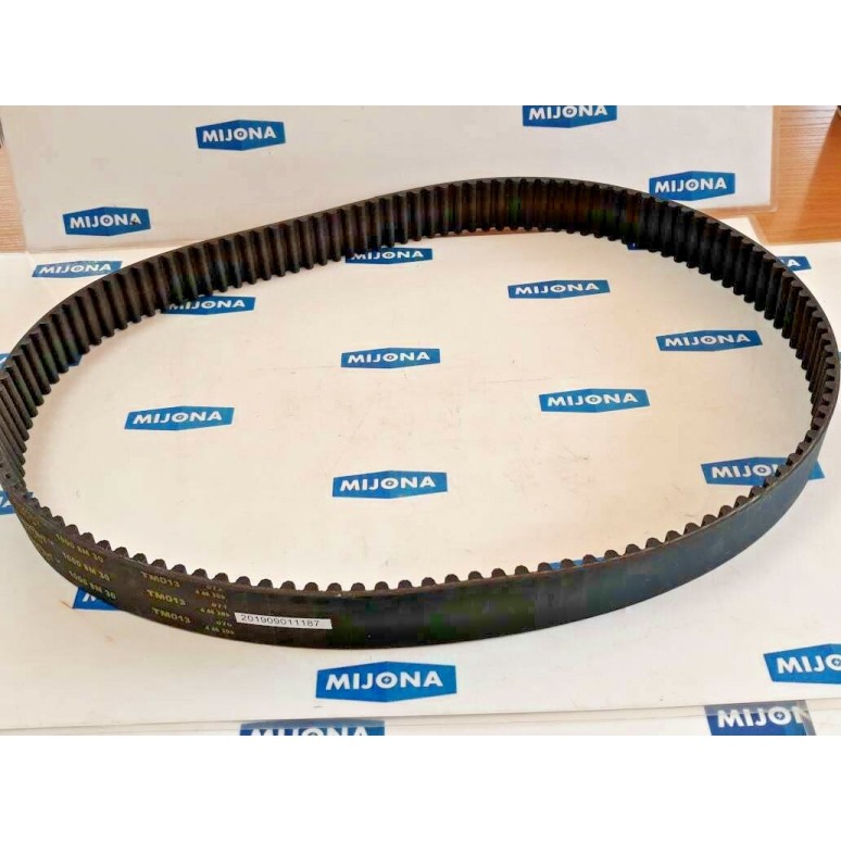PowerPaint belt Gürtel 1000 8M 30 TM013
