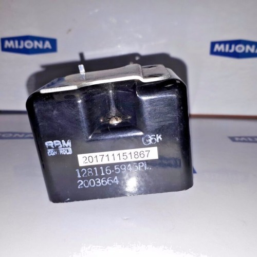 RBM Controls RELAY controls 128116-5945PL