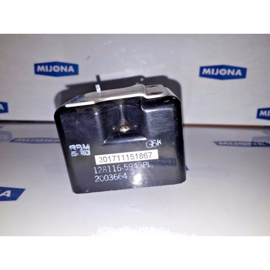 RBM Controls RELAY controls 128116-5945PL